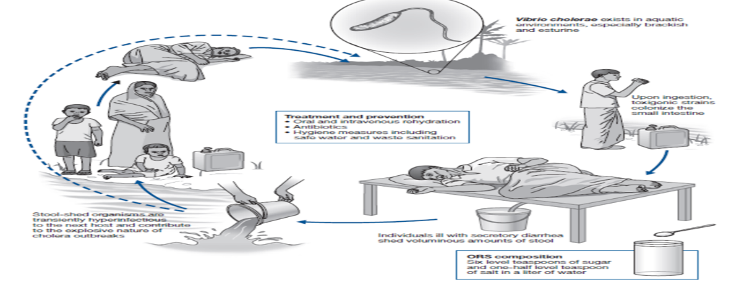 Diarrhoea Surveillance